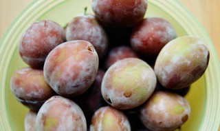 西梅夏天怎么保存（西梅怎样保存能不能放到冰箱里）