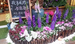 新手如何开花店 新手如何开花店要多少钱