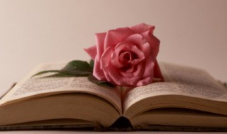 描写天气的优美句子 小学生描写天气的优美句子