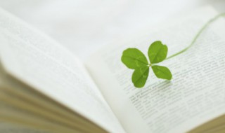 描写彩虹的优美句子 关于描写彩虹的优美句子