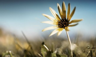 有新鲜感的句子 有新鲜感的句子的定义