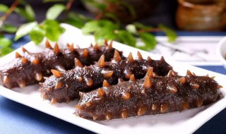 如何泡发干海参（如何泡发干海参最好方法）