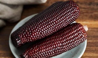 黑玉米为什么不能吃（黑玉米为什么不能吃 基因）