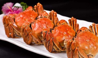螃蟹什么季节最好吃 螃蟹什么季节最好吃最肥