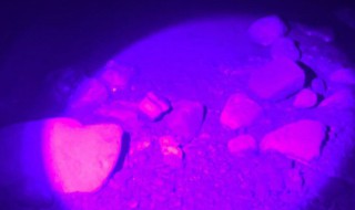 为什么夜钓禁用蓝光灯（夜钓蓝光好还是黄暖光好）