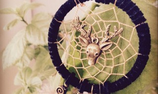 捕梦网为什么不能乱挂（捕梦网为什么不能乱挂知乎）