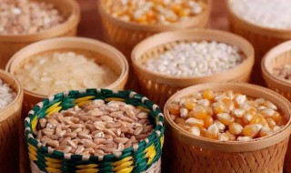 容易胀气的食物有哪些（喂母乳容易胀气的食物有哪些）