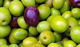 橄榄果怎么吃 橄榄果怎么吃治咳嗽