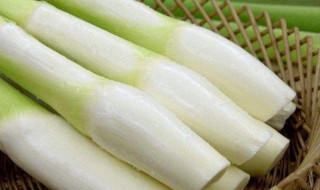 茭白怎么吃（茭白怎么吃最好怎么吃能下奶）