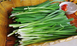 韭菜的种值方法（韭菜的种值方法视频）