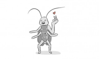 为什么会有蟑螂（为什么会有蟑螂这种东西）