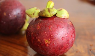 山竹的产地（山竹的产地是哪里）