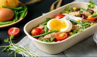 减肥沙拉如何做 减肥沙拉如何做视频