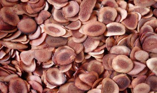 鹿茸片怎么吃效果最好（人参鹿茸片怎么吃效果最好）