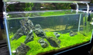 鱼缸自制上过滤水槽如何做（鱼缸自制上过滤水槽如何做视频）