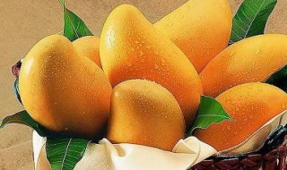 没熟的芒果怎么保存方法（没熟的芒果怎样保存）