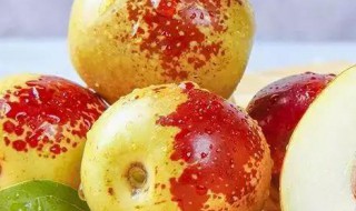 冬枣冷库长期保存方法（冬枣冷库保鲜技术）