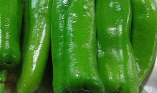 夏天怎样保存青椒的保鲜方法 夏天怎样保存青椒的保鲜方法呢