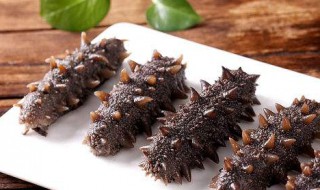 海参保存方法一般放多久（海参保存方法一般放多久不能吃）