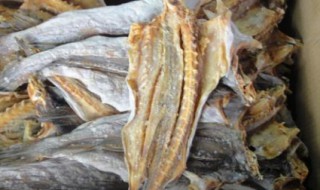 鲈鱼腌制长期保存方法 鲈鱼腌制长期保存方法视频