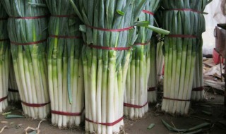 葱去除糊味的方法（葱去除糊味的方法视频）