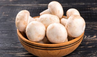 新鲜鲜蘑菇的保存方法 新鲜蘑菇如何保存方法