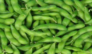 毛豆的怎么保存方法 毛豆怎样保存时间长能吃