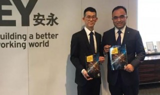 四大是什么（四大是什么公司）