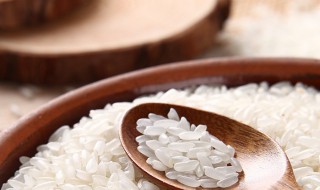 什么是粳米 什么是粳米以及粳米的图片