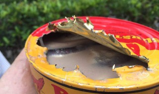 鲱鱼罐头那么臭为什么还有人吃 鲱鱼罐头那么臭为什么还有人吃鲱鱼罐头有多臭