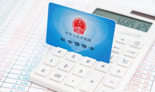 社保缴费怎么查询 灵活就业人员社保缴费怎么查询