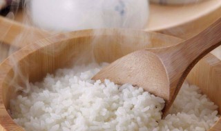 减肥吃米饭还是面食 低脂饮食一日三餐食谱大全