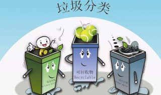 可回收垃圾有哪些物品（可回收垃圾有哪些物品图片）