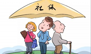 怎样查社保交了多少年 支付宝怎样查社保交了多少年