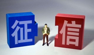 如何查看个人央行征信报告