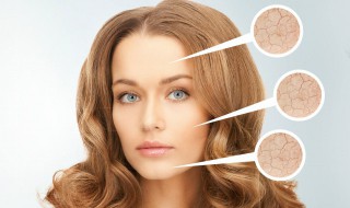 冻干粉的功效与作用（脾氨肽冻干粉的功效与作用）