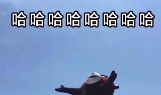 三个哈哈哈是什么意思? 三个哈哈哈是什么意思