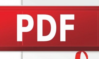 电子版是什么（电子版是什么样子的）