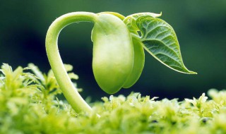 如何保持良好心态 如何保持良好心态和健康心理