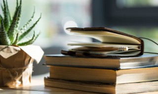 黄色预警代表什么（暴雨黄色预警代表什么）