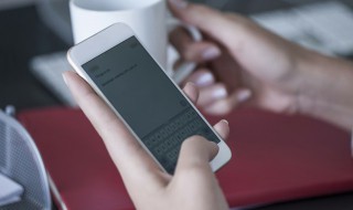 什么叫飞行模式（什么叫飞行模式安装）