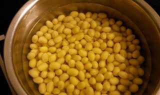 泡黄豆做法窍门（泡黄豆做法窍门是什么）