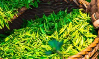 喝绿茶有什么好处与坏处（喝绿茶的好处跟坏处）