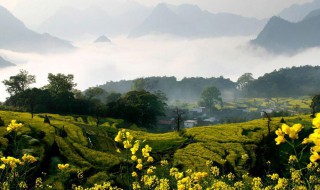 江西省的简称（江西省的简称那个字念什么）