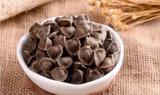 辣木籽的功效与作用及食用方法 辣木籽的功效与作用