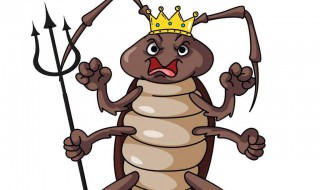 如何彻底消灭家中蟑螂（家里放一物绝对没蟑螂）