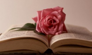 母亲生日祝福语（母亲生日祝福语古诗）