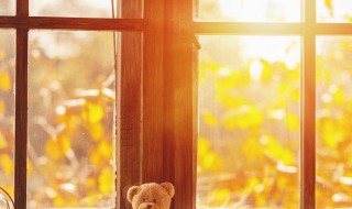 享受阳光惬意的句子（享受阳光惬意的句子小孩怎么说）