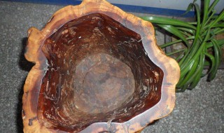 枣木怎么保存不裂