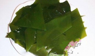 海带叶芽怎么保存（海带叶芽怎么保存时间长）